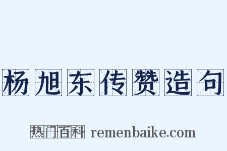 杨旭东传赞造句是什么意思的图片